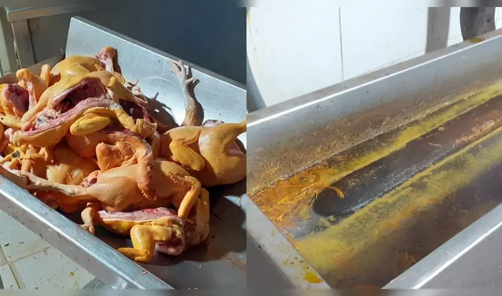 las aves eran colocadas en recipientes sucios