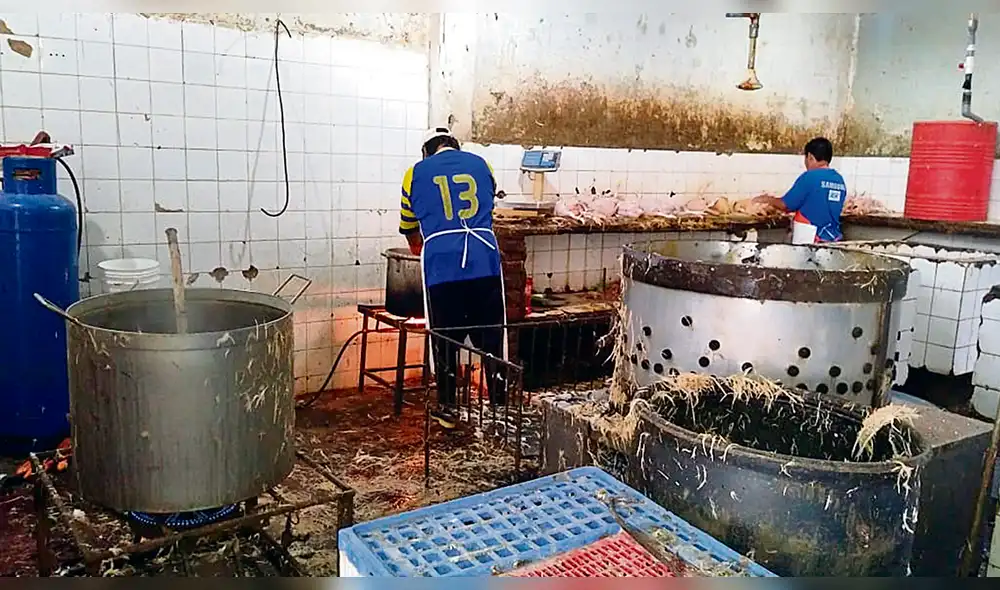 Insalubres. Mataderos de Piura operaban de manera informal y sacrificaban a las aves en condiciones antihigiénicas.