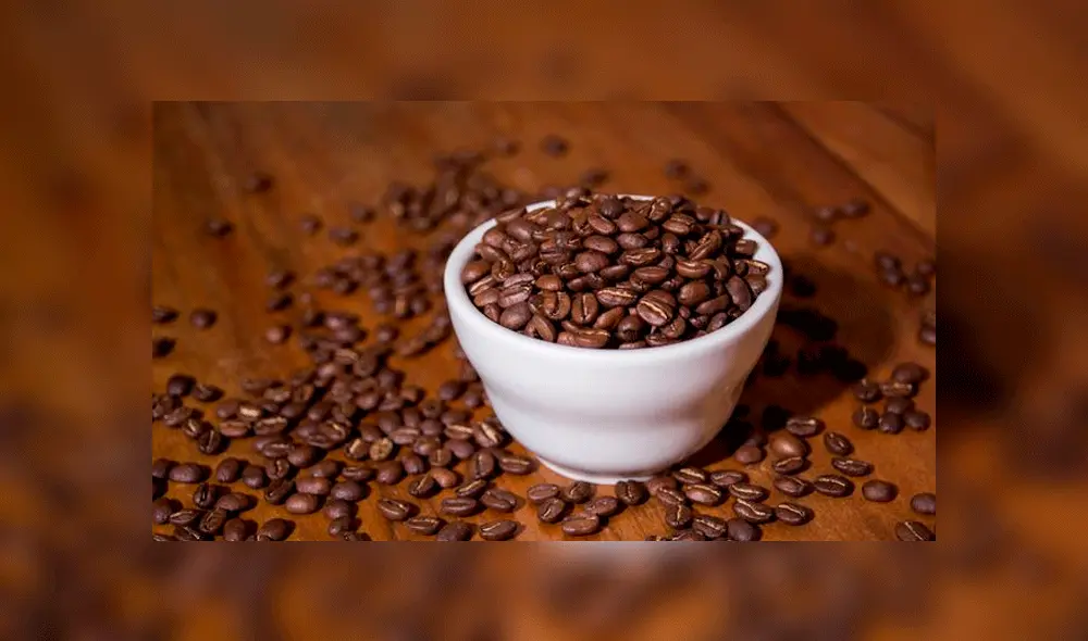 Caficultores de Cusco y Puno compiten por la ‘Taza Excelencia 2019’ Caficultores de Cusco y Puno compiten por la ‘Taza Excelencia 2019’