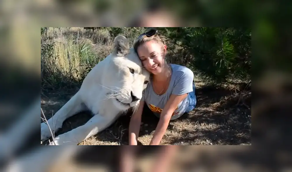 El video viral de YouTube muestra la reacción que tuvo una leona al toparse con una modelo hacía safari dentro de un peligroso campo de felinos.