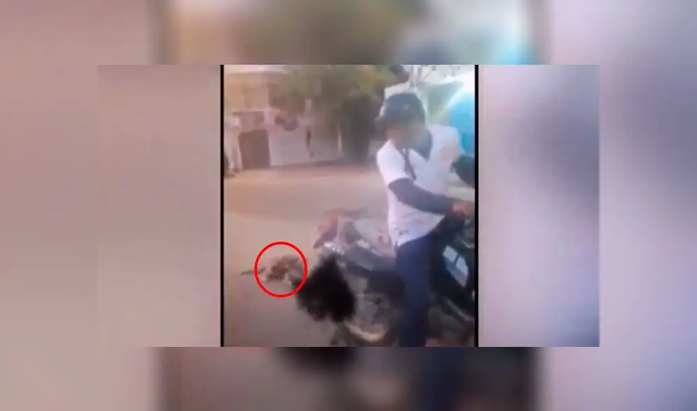 Pasajero de un bus descendió del transporte en el que viajaban para salvar al perro. Crédito: Captura ATV. Pasajero de un bus descendió del transporte en el que viajaban para salvar al perro. Crédito: Captura ATV.