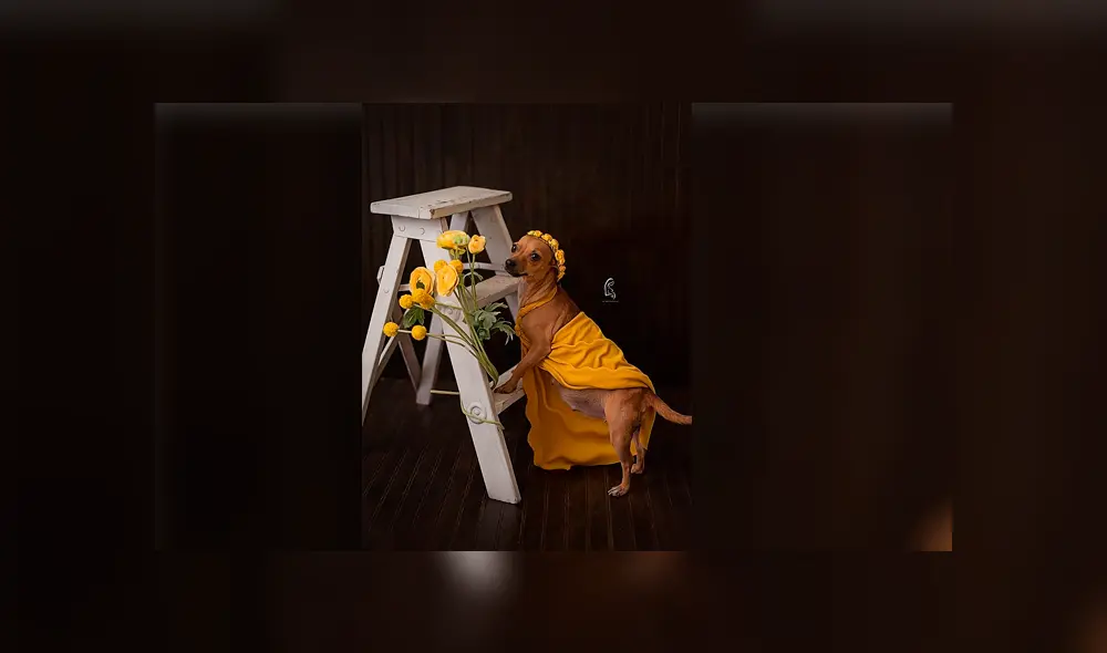 Desliza para ver la sesión fotográfica que se volvió viral en Facebook. Foto: Captura.