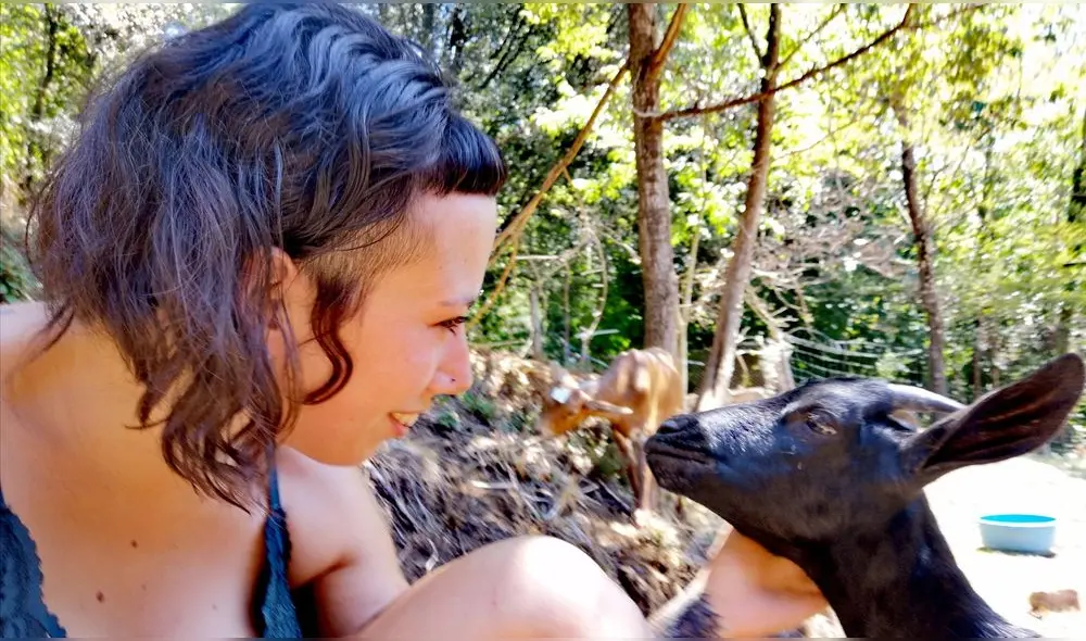 ‘Almas veganas’ se volvió tendencia en los últimos días por defender a las gallinas de su santuario. Foto: Facebook. ‘Almas veganas’ se volvió tendencia en los últimos días por defender a las gallinas de su santuario. Foto: Facebook.