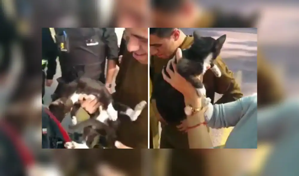 Desliza las imágenes para ver más detalles sobre esta emotiva escena que es viral en Facebook. Desliza las imágenes para ver más detalles sobre esta emotiva escena que es viral en Facebook.