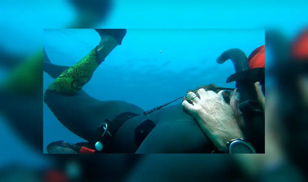 Un buzo quedó en shock luego de toparse con una extraña criatura en la profundidad del mar. Un buzo quedó en shock luego de toparse con una extraña criatura en la profundidad del mar.