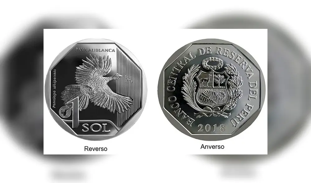 Moneda alusiva a la Pava Aliblanca. Foto: BCRP