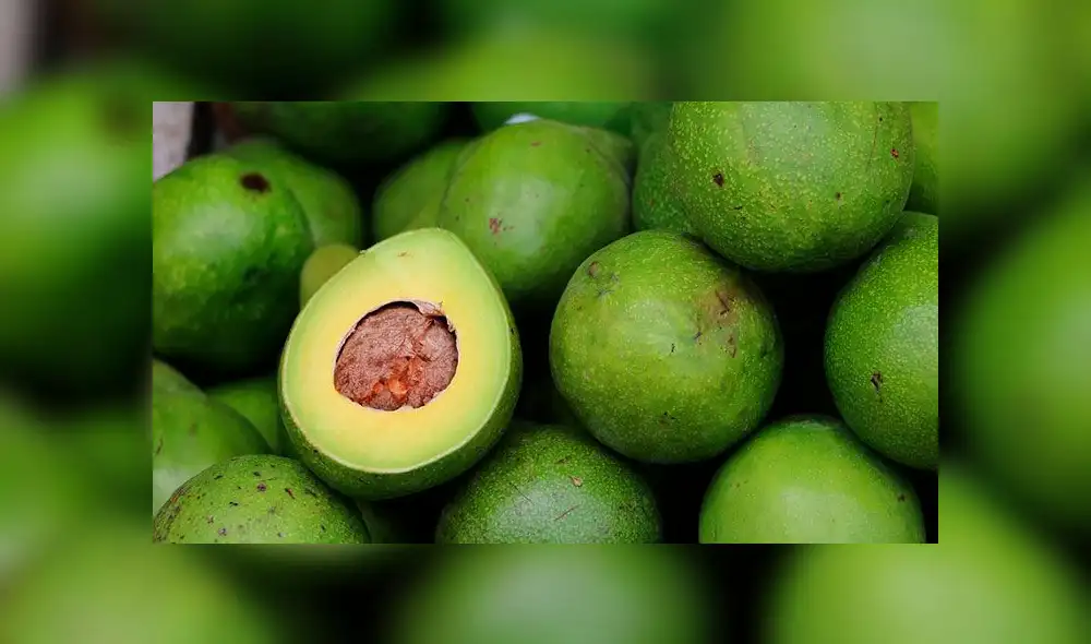 Estados Unidos se quedaría sin palta en 3 semanas si cierra frontera con México Estados Unidos se quedaría sin palta en 3 semanas si cierra frontera con México