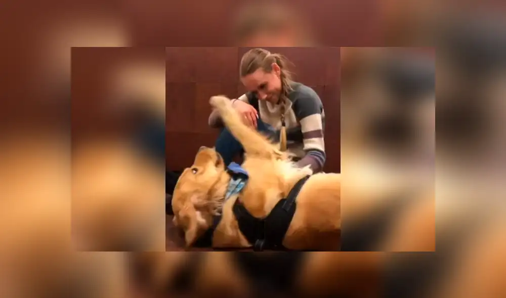 Desliza las imágenes hacia la izquierda para conocer la cariñosa acción que tuvo un perro para consolar a su dueña. Foto: Clarín.