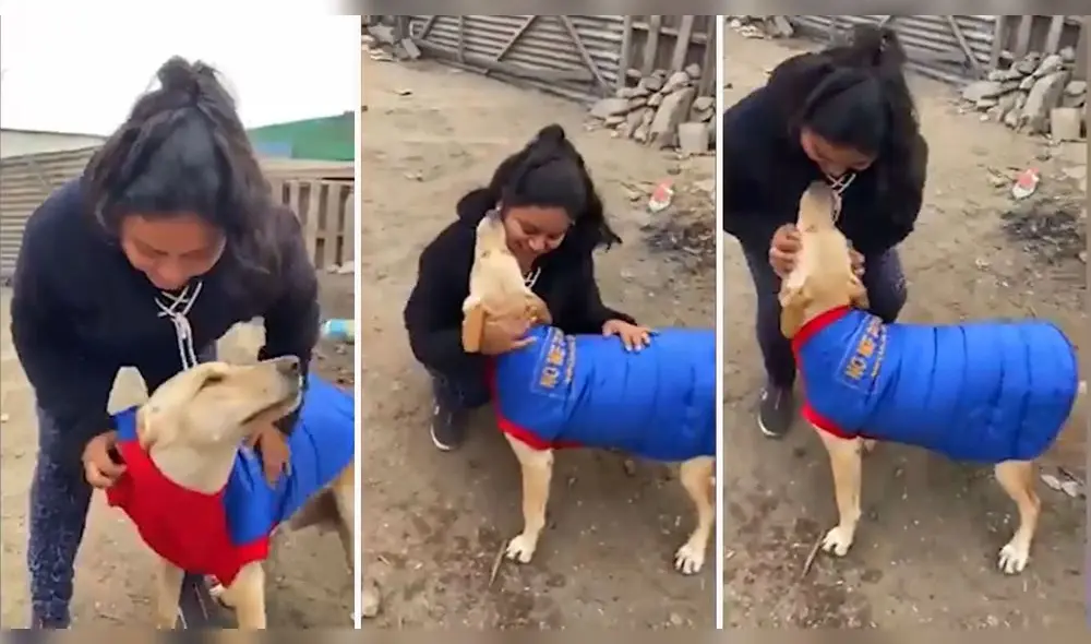 Perrito callejero tiene tierno gesto de agradecimiento con animalista que lo arropa | Créditos: captura / FB Jazmín al rescate