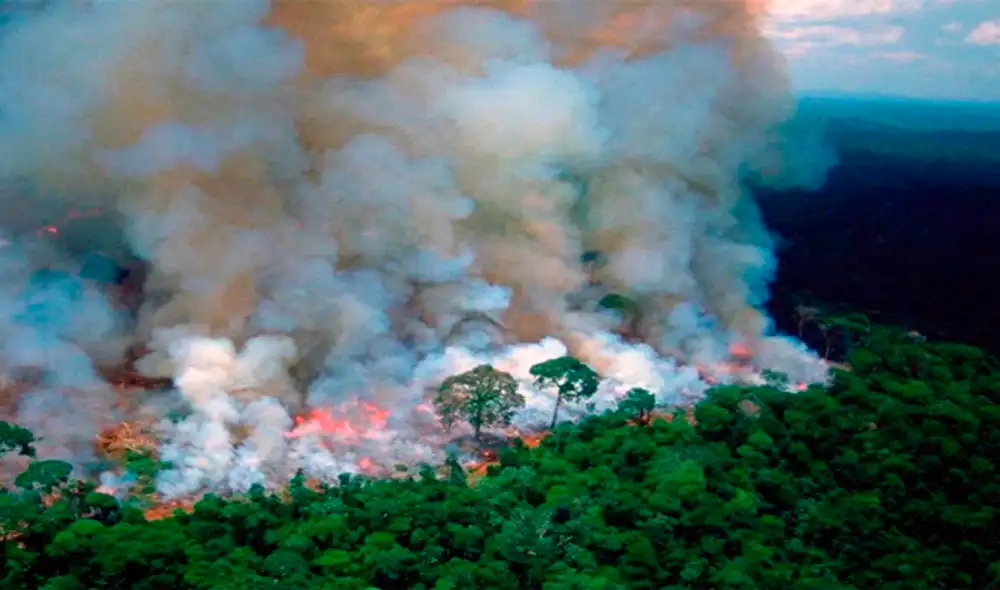 Incendio en la Amazonía Incendio en la Amazonía