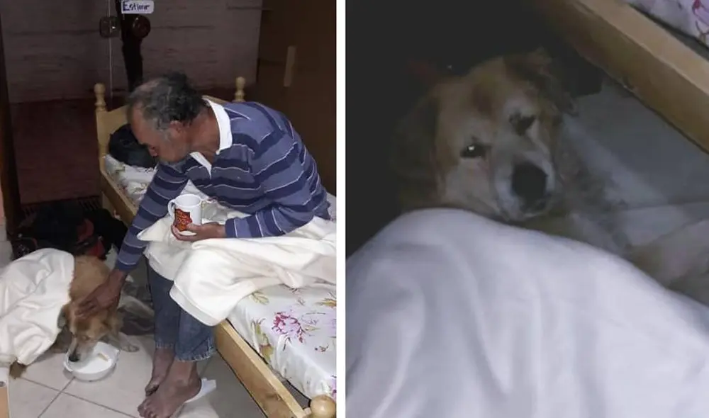 La historia del anciano conmovió a miles en las redes sociales. Foto: Facebook/Abogado Miguel Godoy