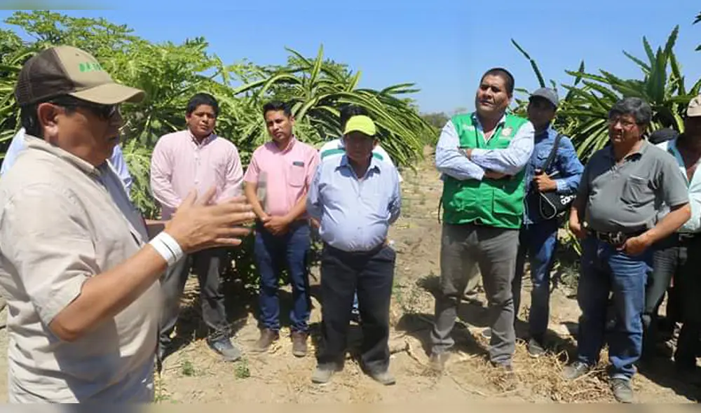 Hombres y mujeres del campo pueden mejorar posibilidades de crecimiento.