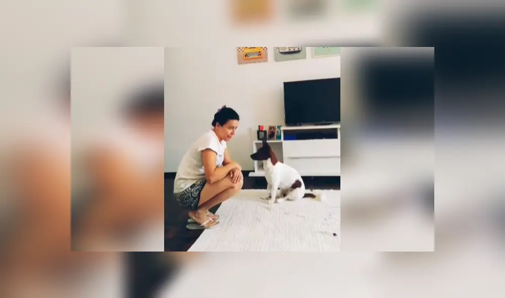 Desliza las imágenes para conocer la destreza de dos perros para comunicarse con su dueña de forma sencilla. Desliza las imágenes para conocer la destreza de dos perros para comunicarse con su dueña de forma sencilla.