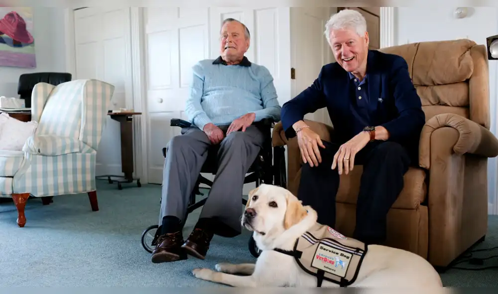 Estados Unidos: la conmovedora foto de Sully, el perro del expresidente George H.W. Bush [FOTOS]