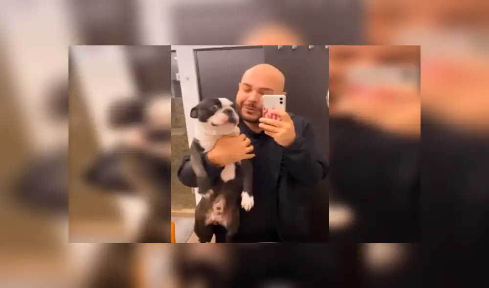 Desliza las imágenes hacia la izquierda para observar el emotivo comportamiento de un perro cuando escucha a su dueño.