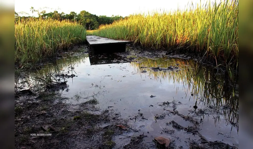 Sombras y vacíos en el manejo del agua en el Perú Sombras y vacíos en el manejo del agua en el Perú
