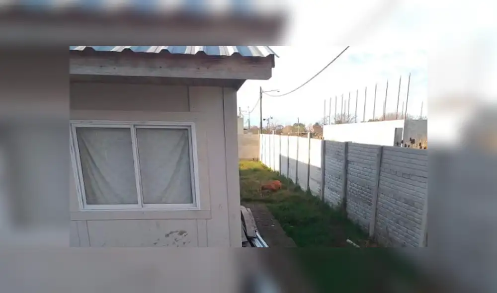 argentina - pitbull - muerte - robo argentina - pitbull - muerte - robo