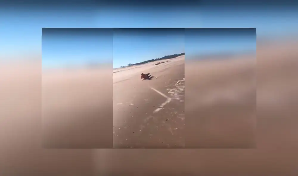 Facebook: Hombre realiza un reto viral en la playa, y tiene terrible resultado [VIDEO] 