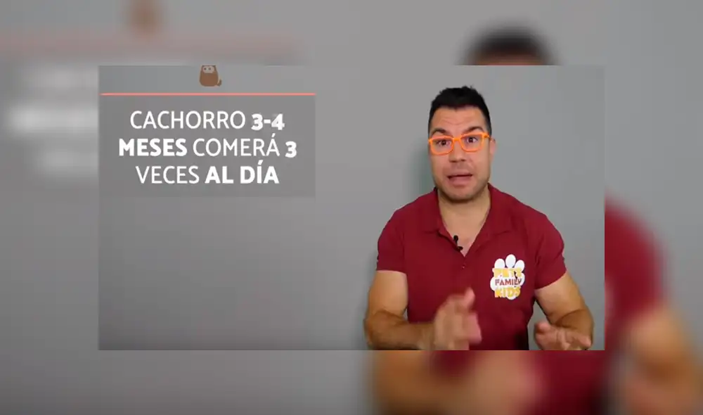 Desliza para saber los detalles de este video viral publicado en YouTube. Foto: Captura.