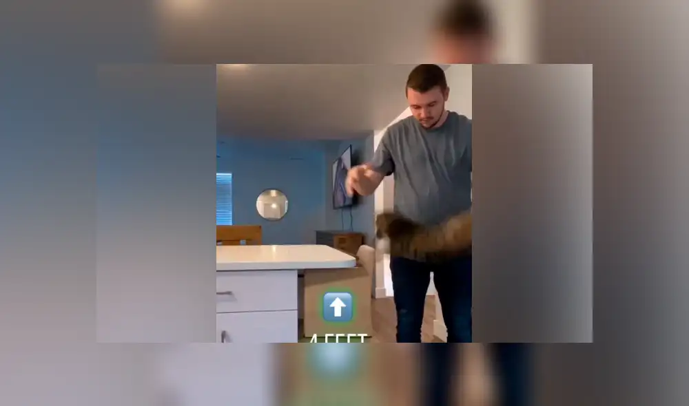 Desliza hacia la izquierda para ver el resultado del experimento que hizo un joven con su gato. Video es viral en YouTube.