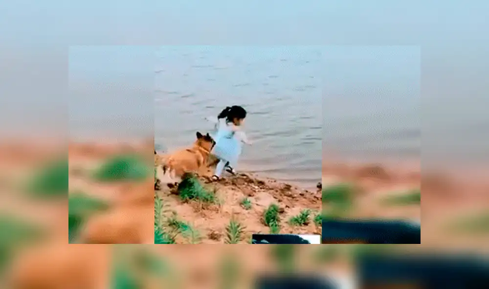 Facebook viral: niña se aproxima a peligroso río para sacar pelota y su perro llega a su rescate [VIDEO] 