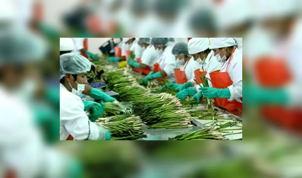 Exportaciones Exportaciones