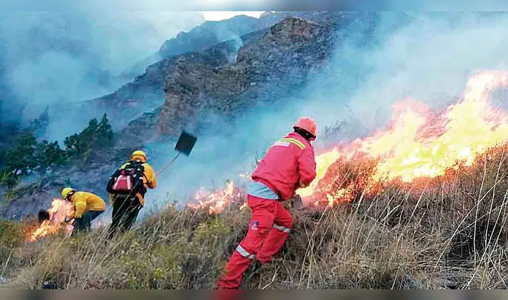 INCONTROLABLE. Los incendios forestales siguen destruyendo bosques y pastizales en Cusco