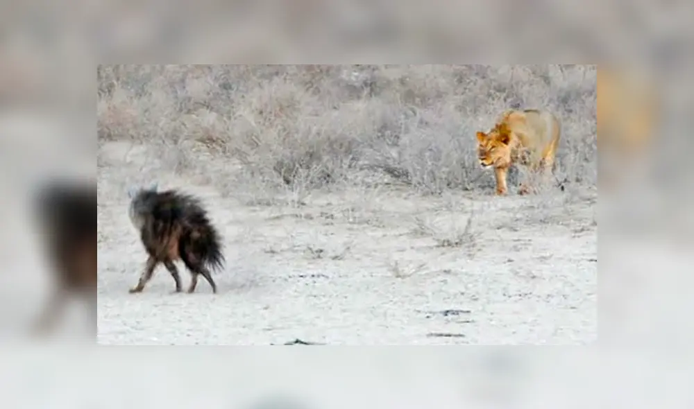 Desliza hacia la izquierda para ver las imágenes del viral de Facebook. Desliza hacia la izquierda para ver las imágenes del viral de Facebook.