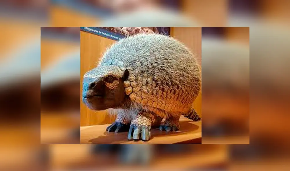 Desliza para ver más detalles de esta historia que se viralizó en Facebook. Foto: Captura. Desliza para ver más detalles de esta historia que se viralizó en Facebook. Foto: Captura.