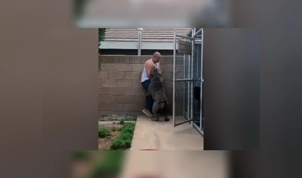 Desliza para ver todas las imágenes compartidas en Facebook. Foto: captura