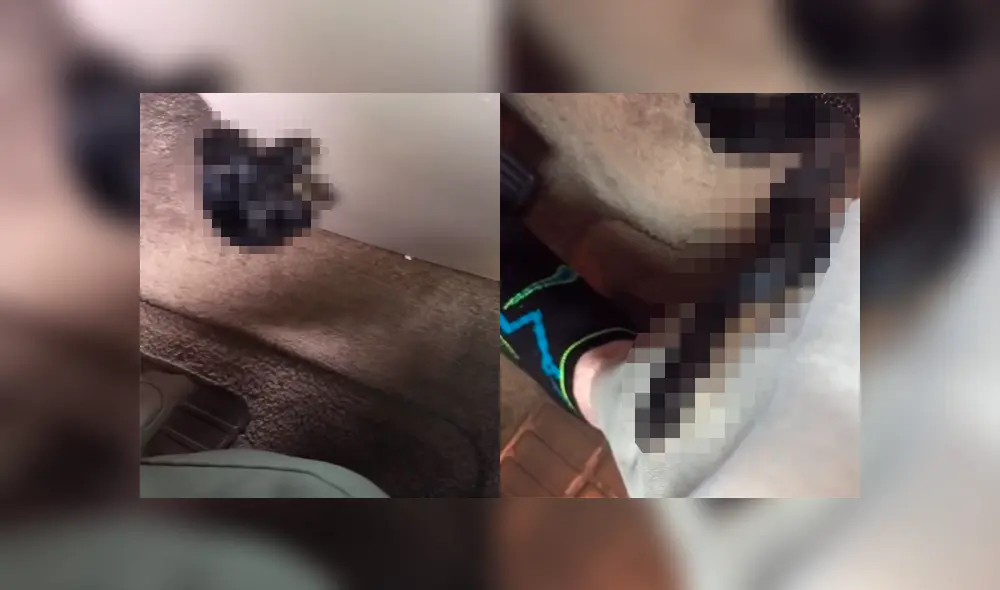 Un hombre se llevó el susto de su vida al hallar una mortal criatura al interior de su auto.