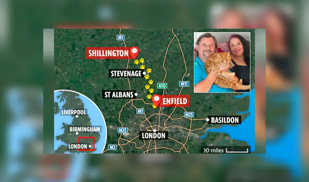 Desliza la imagen de Facebook para verlas todas Foto: The Sun