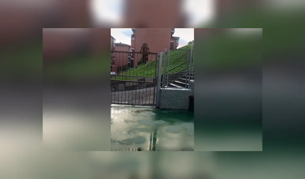 Desliza las imágenes hacia la izquierda para descubrir el truco que realizó un perro para escapar de su casa. Desliza las imágenes hacia la izquierda para descubrir el truco que realizó un perro para escapar de su casa.