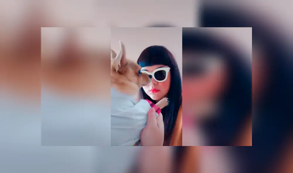 Desliza las imágenes para ver el resultado de la increíble actuación de una mujer junto a sus mascotas. Foto: Captura. Desliza las imágenes para ver el resultado de la increíble actuación de una mujer junto a sus mascotas. Foto: Captura.