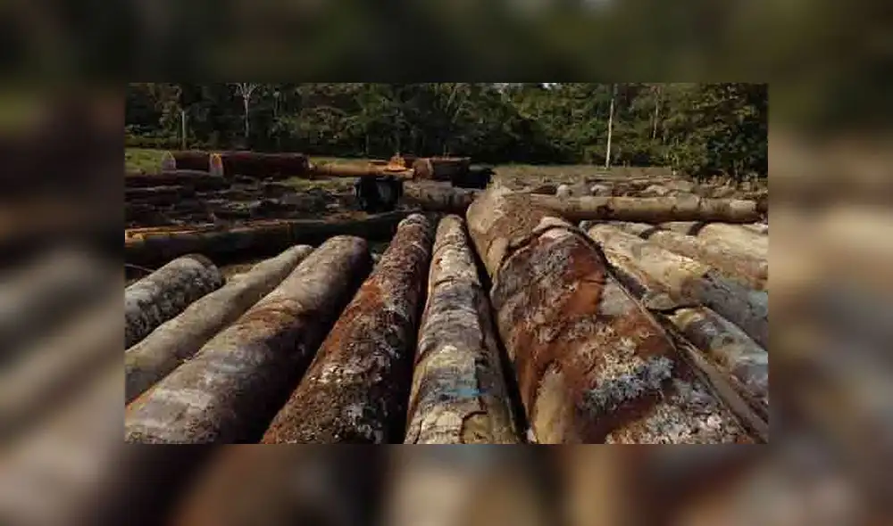 (Foto: referencial) (Foto: referencial)