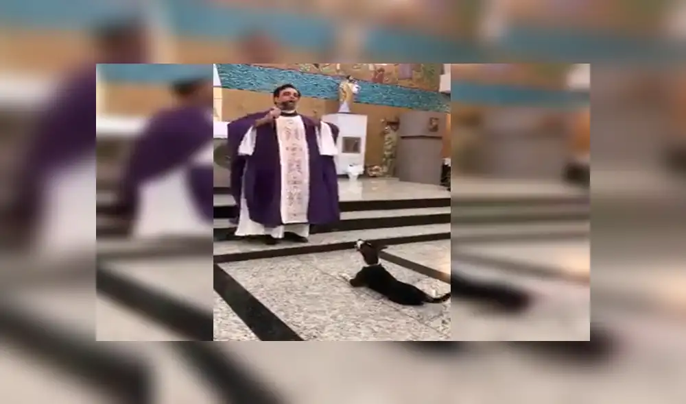 Facebook: perro sorprende al escuchar atento misa que ofrecía un sacerdote dentro de iglesia [VIDEO]