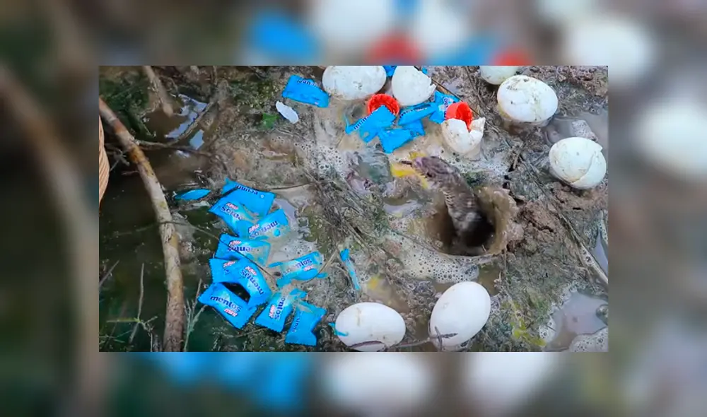 Desliza hacia la izquierda para ver el experimento que se volvió viral en Facebook.