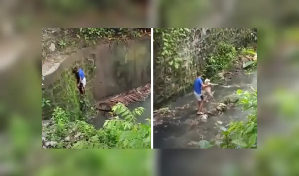 Desliza para ver más imágenes que muestran el valiente gesto de este menor. (captura / YouTube)