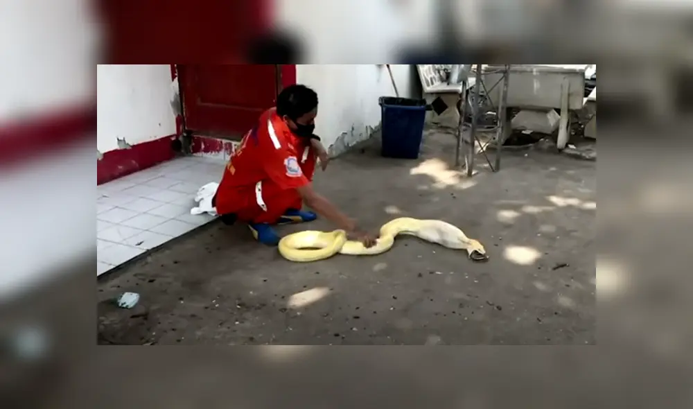 Desliza hacia la izquierda para ver las imágenes del viral de YouTube.