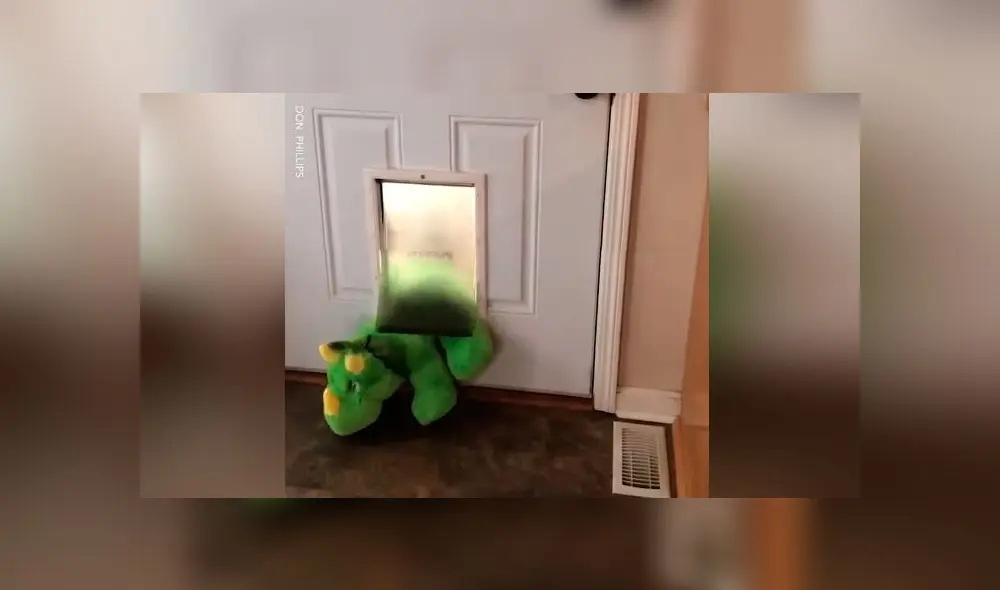 Desliza las imágenes para ver la furiosa reacción de un perro celoso al ver a la nueva 'mascota' de su dueña. Foto: Woof Woof Desliza las imágenes para ver la furiosa reacción de un perro celoso al ver a la nueva 'mascota' de su dueña. Foto: Woof Woof