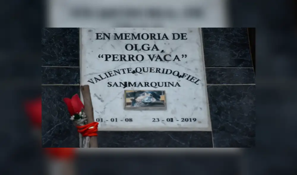 UNMSM inaugura lápida en honor a ‘Perrovaca’ y grosero error genera indignación UNMSM inaugura lápida en honor a ‘Perrovaca’ y grosero error genera indignación