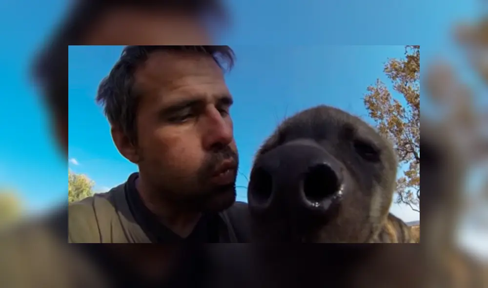 Desliza hacia la izquierda para ver el encuentro del turista con las hienas, escena que es viral en Facebook. Desliza hacia la izquierda para ver el encuentro del turista con las hienas, escena que es viral en Facebook.