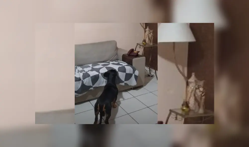 Desliza hacia la izquierda para ver más del video viral. Fotocaptura: YouTube
