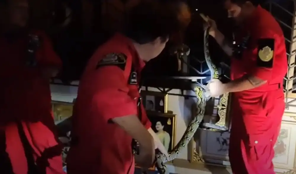 Desliza hacia la izquierda para ver las imágenes del viral de YouTube. Foto: Viral Press.