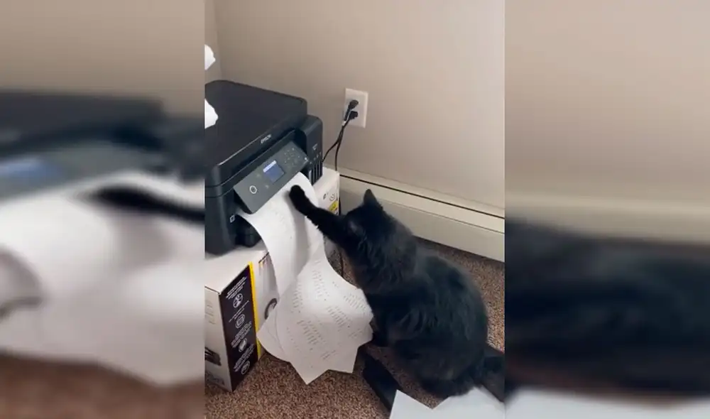 Desliza las imágenes hacia la izquierda para observar la curiosa escena que protagonizó un gato para ‘apoyar’ a su dueño. Fotocaptura: Facebook. Desliza las imágenes hacia la izquierda para observar la curiosa escena que protagonizó un gato para ‘apoyar’ a su dueño. Fotocaptura: Facebook.