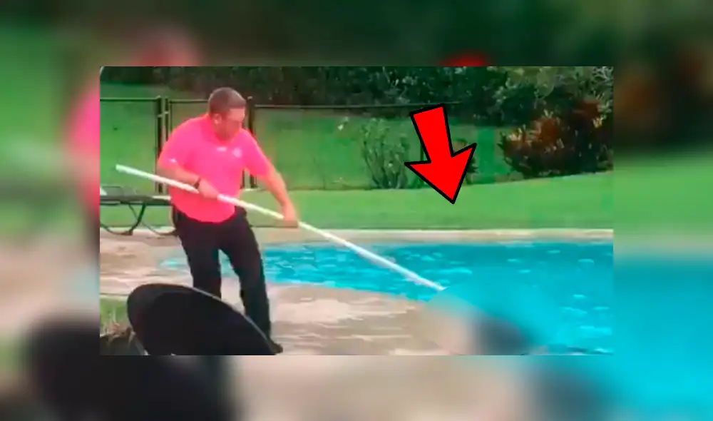 Youtube viral: Familia elimina extraña criatura que apareció en su piscina [VIDEO]
