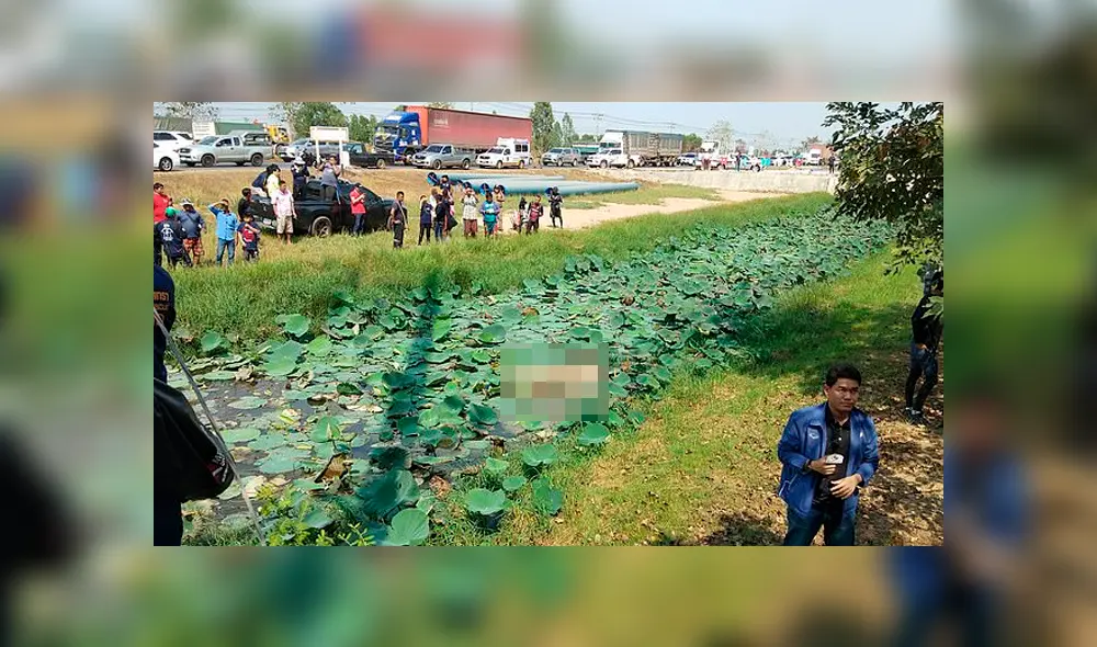 Hallan muerta a jirafa que escapó de camión que la llevaba al zoológico [VIDEO]