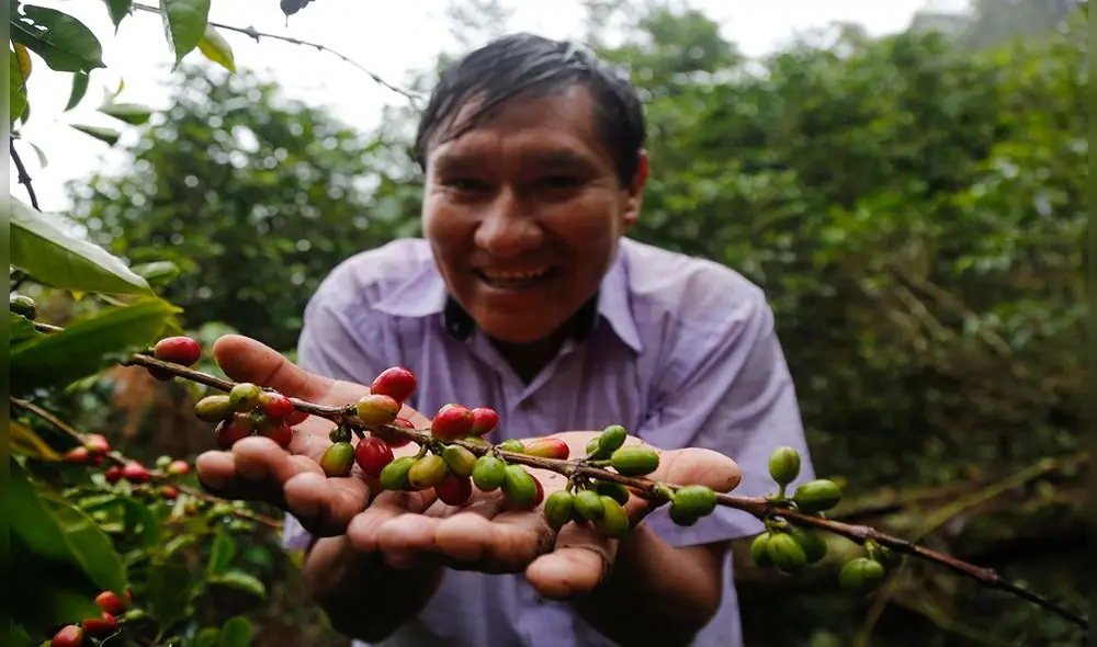 El agricultor Raúl Mamani y la ruta del mejor café del mundo [FOTOS]