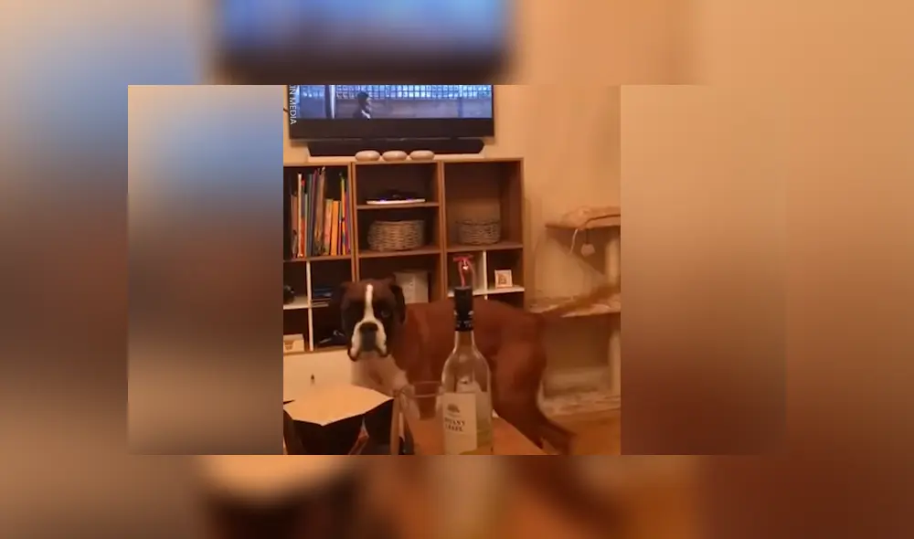 Desliza para ver los momentos más tierno del video que se hizo viral en Facebook. Desliza para ver los momentos más tierno del video que se hizo viral en Facebook.