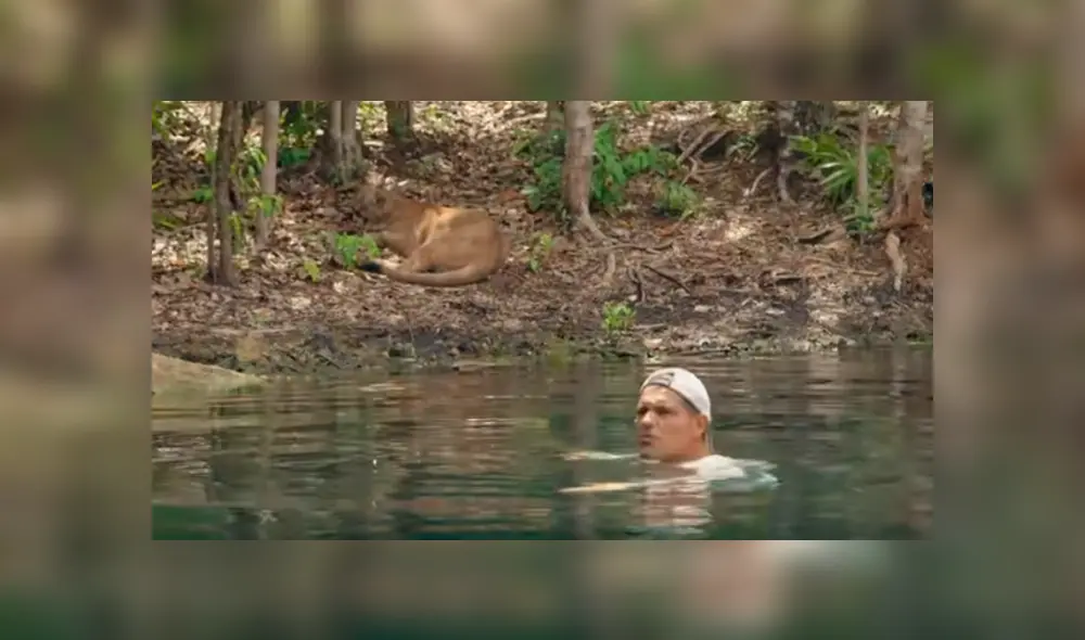 Desliza hacia la izquierda para ver el encuentro de un turista con un feroz animal, escena viral de YouTube. Desliza hacia la izquierda para ver el encuentro de un turista con un feroz animal, escena viral de YouTube.